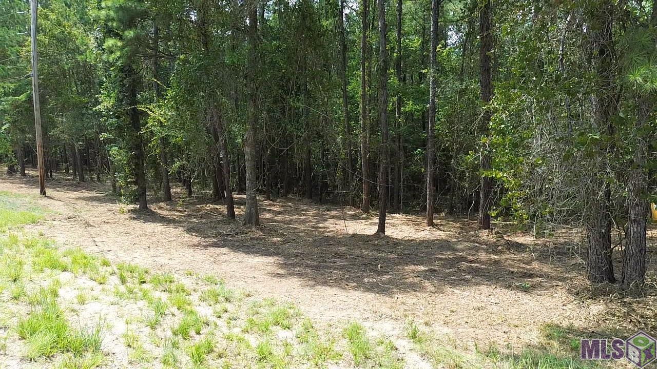 Five Five Lakes Road Bush, LA 70431 - Photo 4 of 14 Gallery Image 4