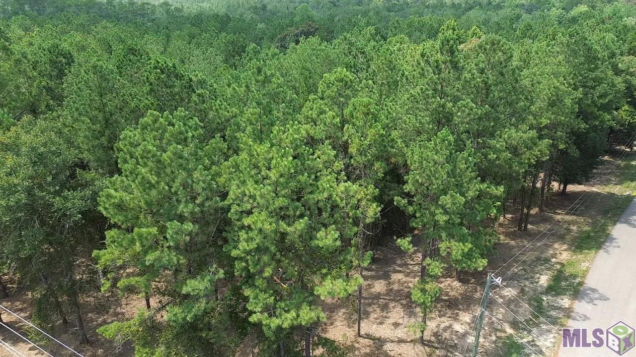 Five Five Lakes Road Bush, LA 70431 - Photo 5 of 14 Gallery Image 5