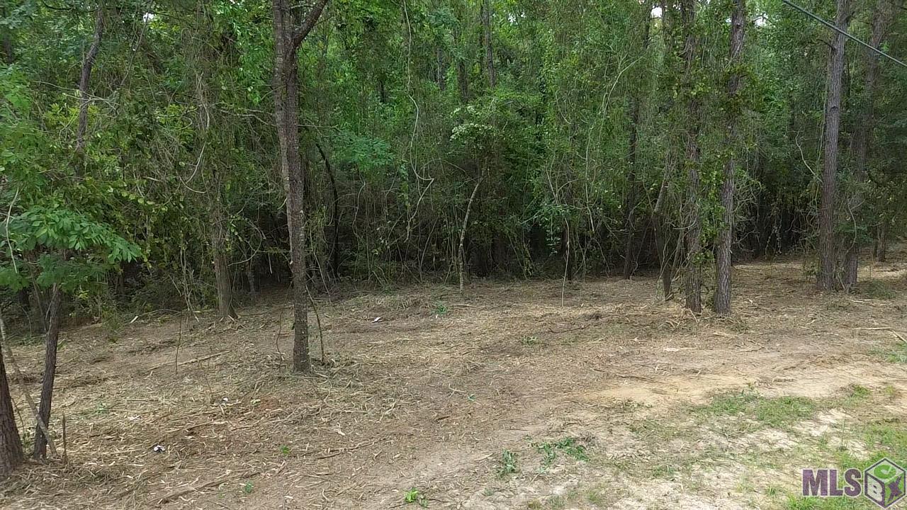 Five Five Lakes Road Bush, LA 70431 - Photo 8 of 14 Gallery Image 8