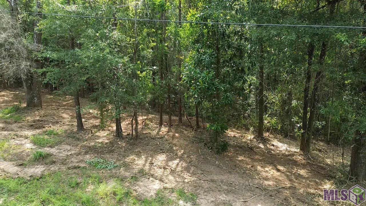 Five Five Lakes Road Bush, LA 70431 - Photo 9 of 14 Gallery Image 9