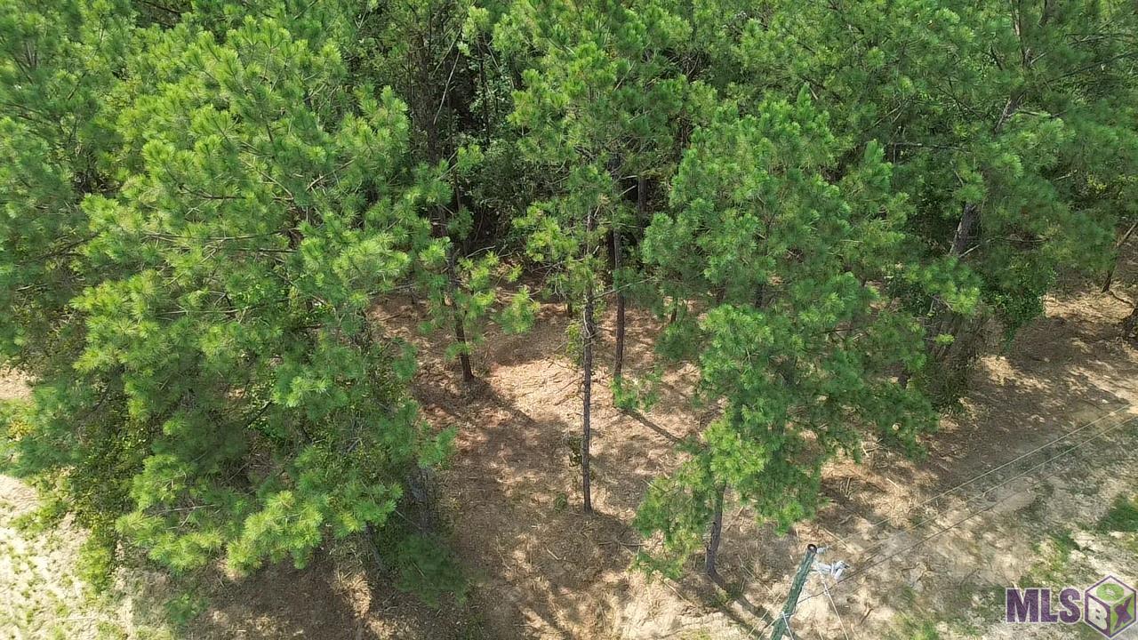 Five Five Lakes Road Bush, LA 70431 - Photo 10 of 14 Gallery Image 10