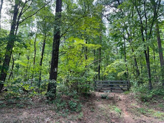 1522 Vulcan Road Rising Fawn, GA 30738 - Photo 2 of 6 IMG_5873