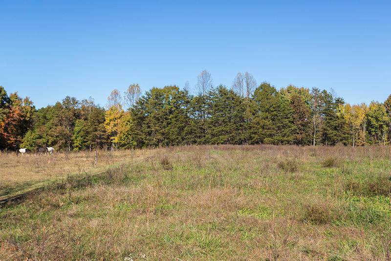 56 Farmers Road Gladys, VA 24554 - Photo 39 of 54 DGA_0999