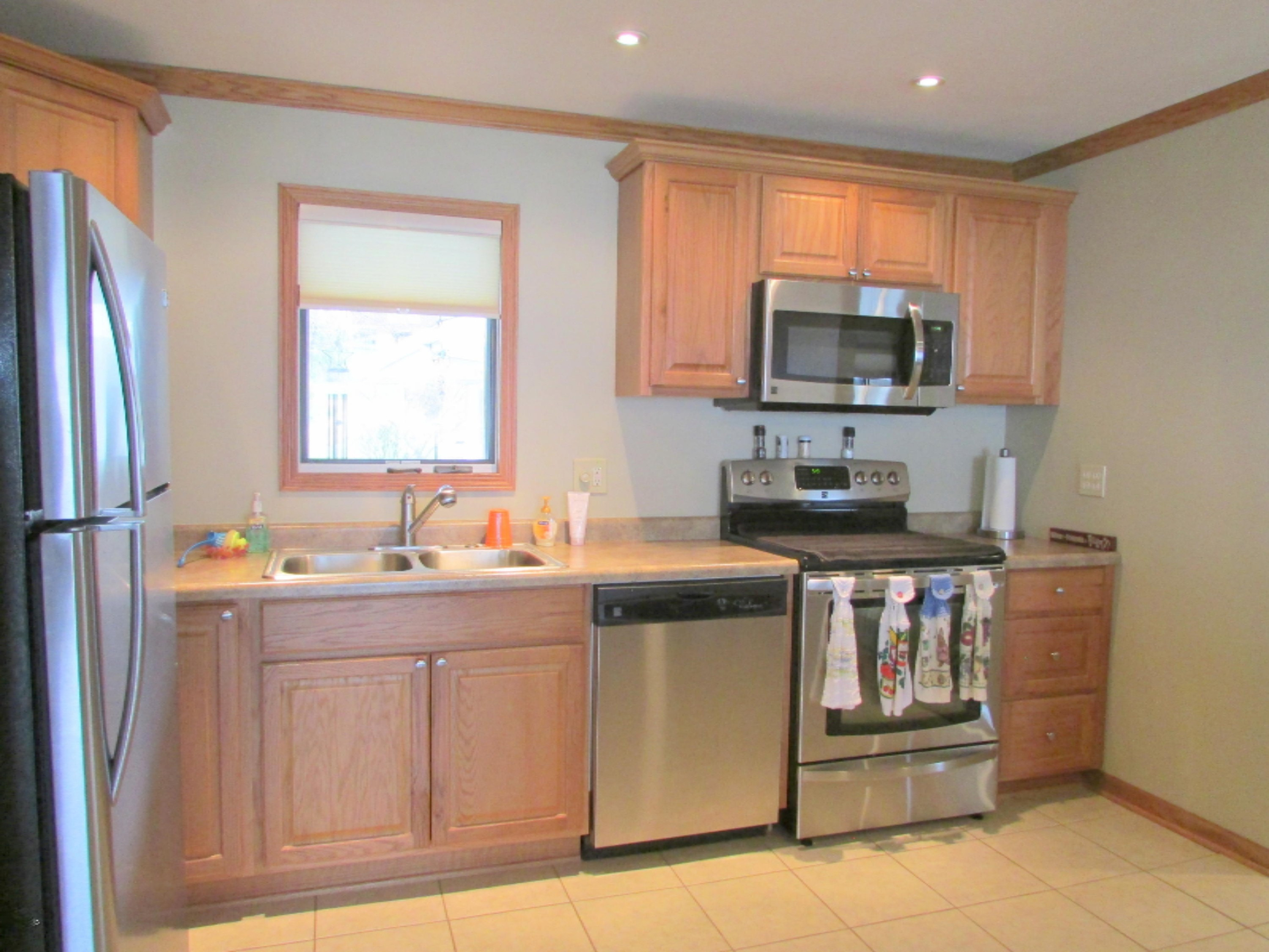 521 Rocky Ridge Coldwater, MI 49036 - Photo 3 of 29 IMG_4753