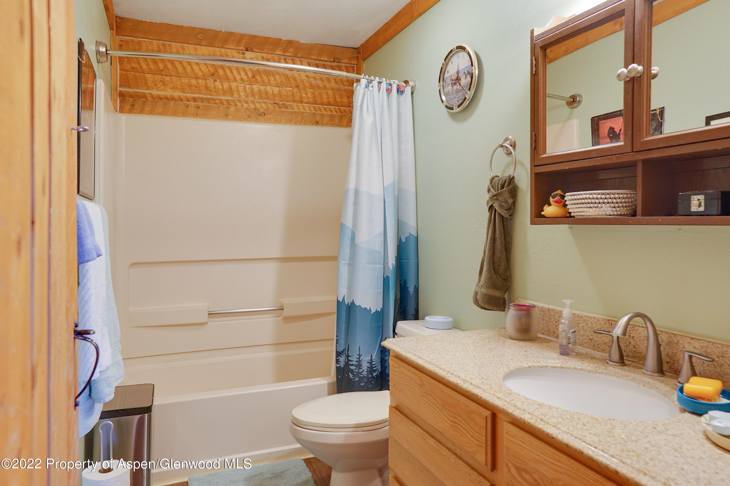 1307 Sage Ridge Road Meeker, CO 81641 - Photo 12 of 35 IMG-5518