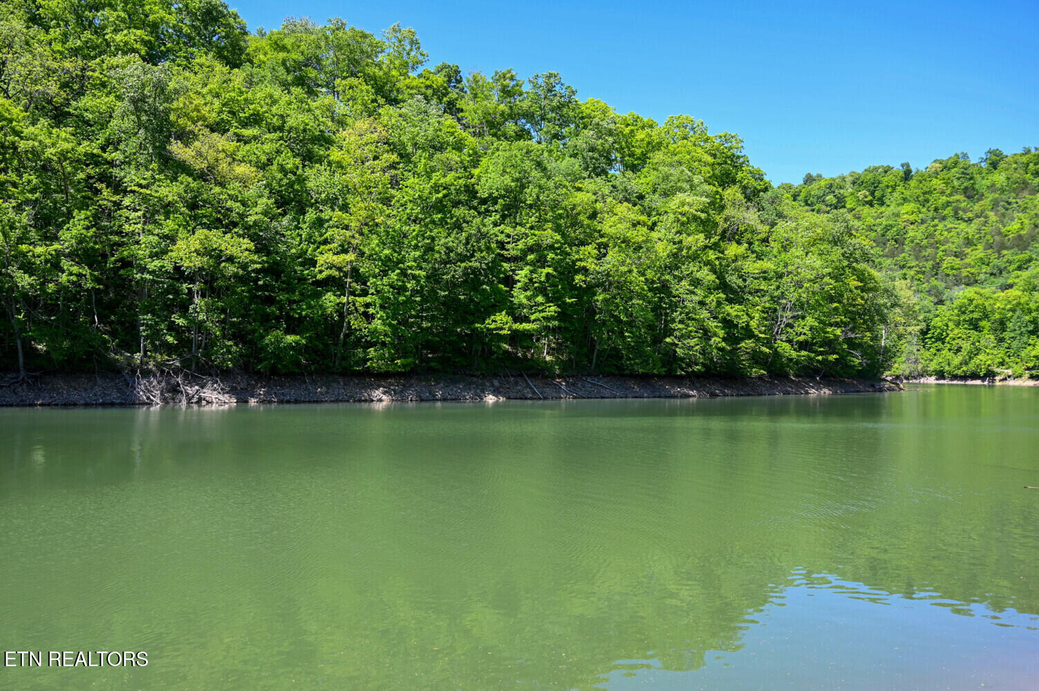 Lot 121 Towncreek Road Speedwell, TN 37870 - Photo 15 of 32 6a2dd1b9a0a8d