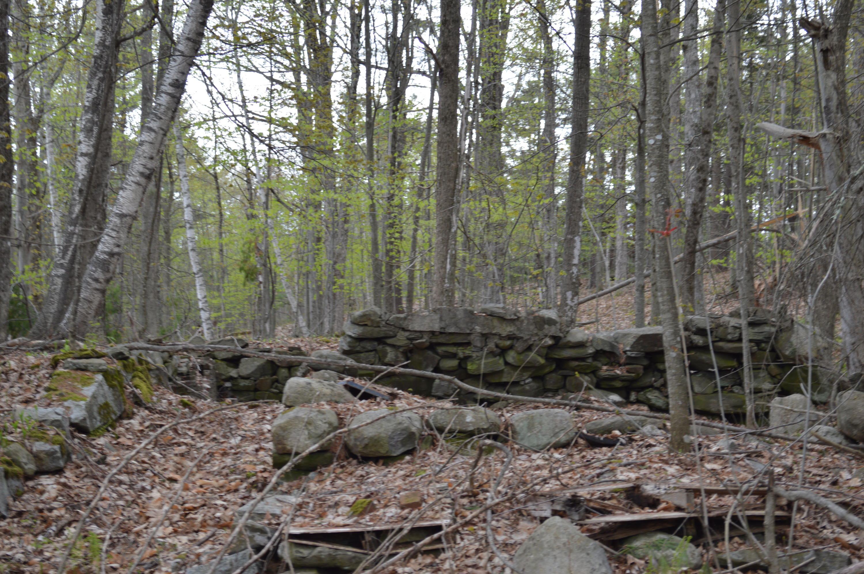 777 Sturtevant Hill Road Winthrop, ME 04364 - Photo 25 of 36 DSC_0018