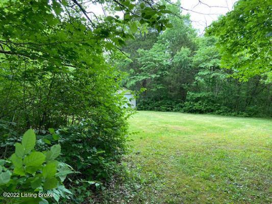 86 Carlisle Road Carrollton, KY 41008 - Photo 21 of 26 IMG_7656
