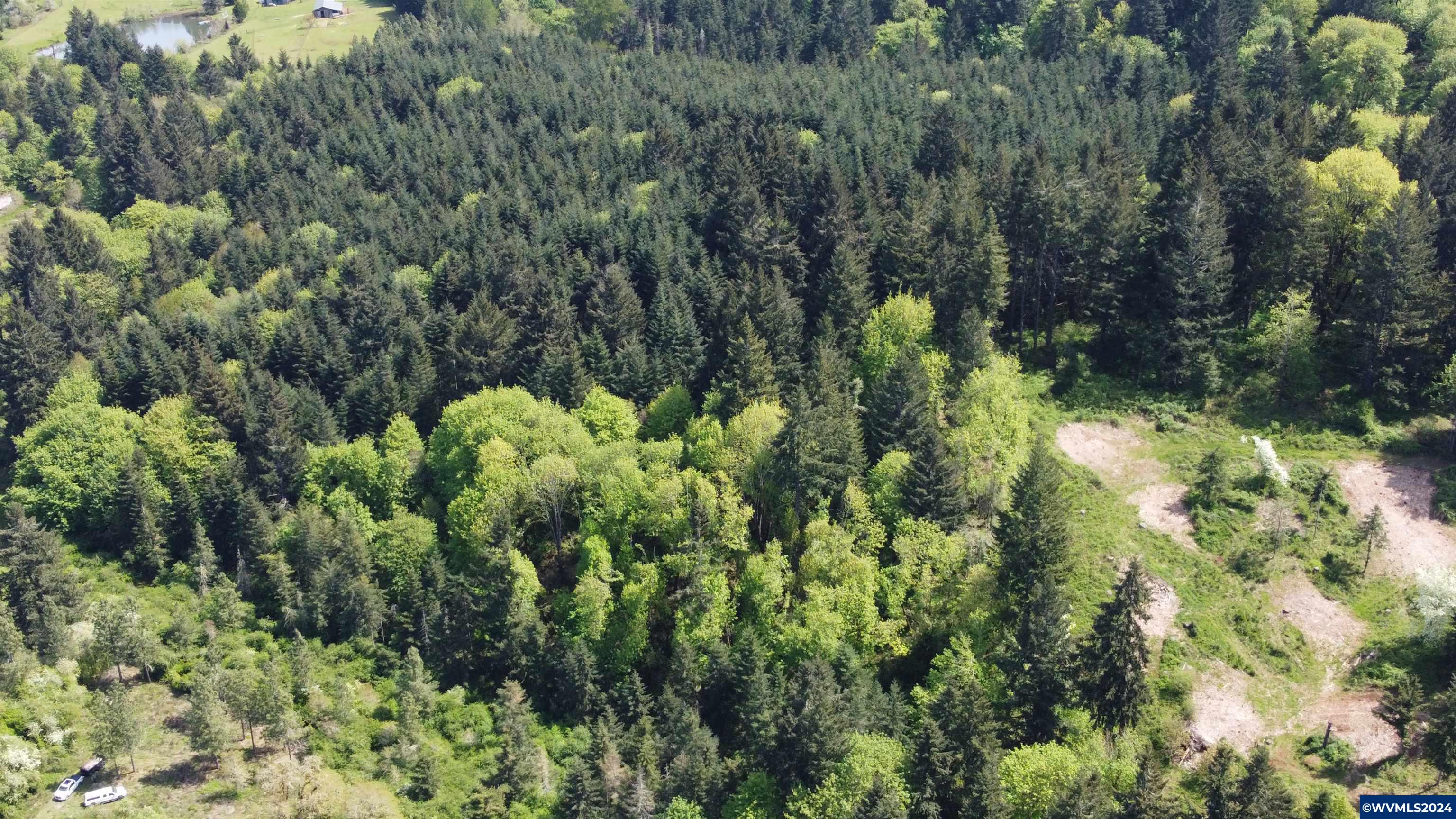 43458 Rogers Mountain Road Scio, OR 97374 - Photo 6 of 19
