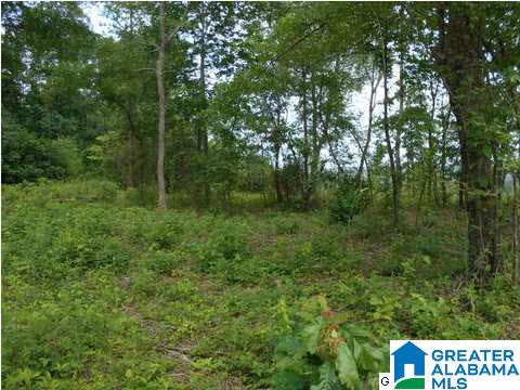 Virginia Street Oneonta, AL 35121 - Photo 3 of 3