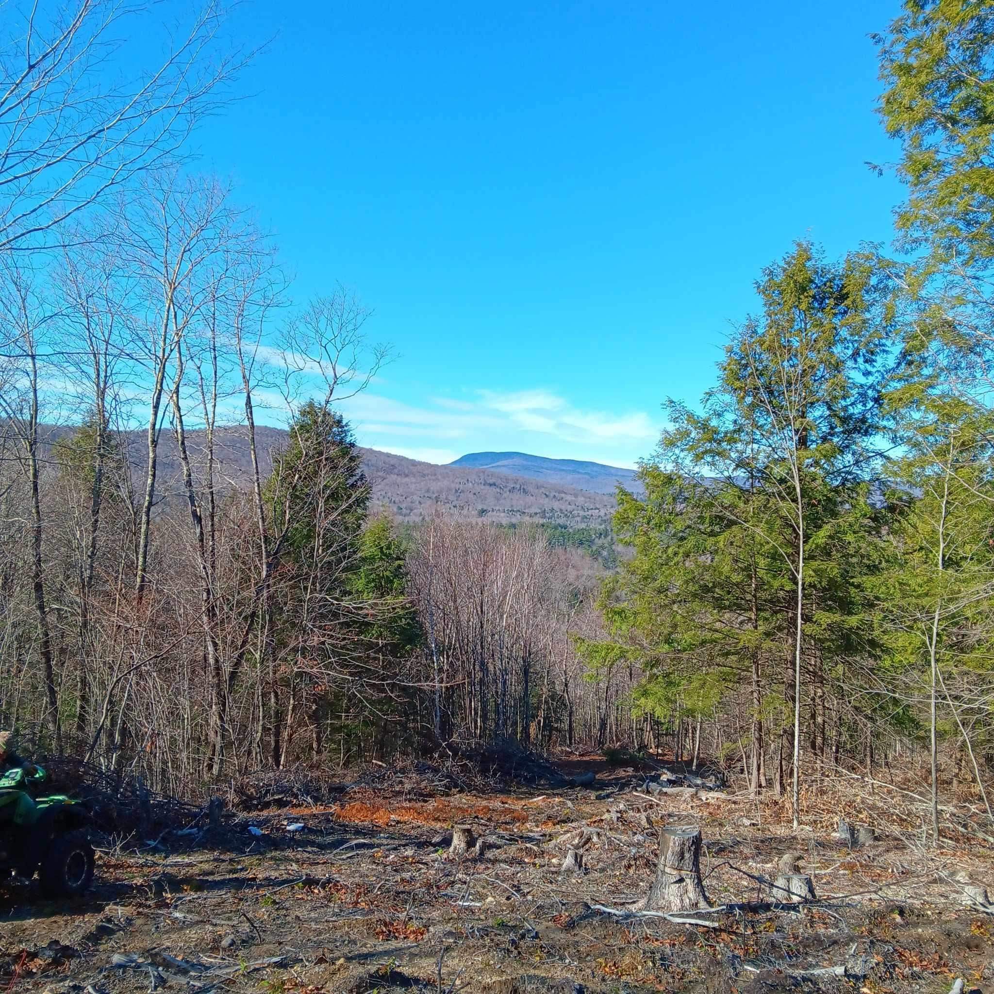 189 River Road Rumney, NH 03266 - Photo 26 of 28