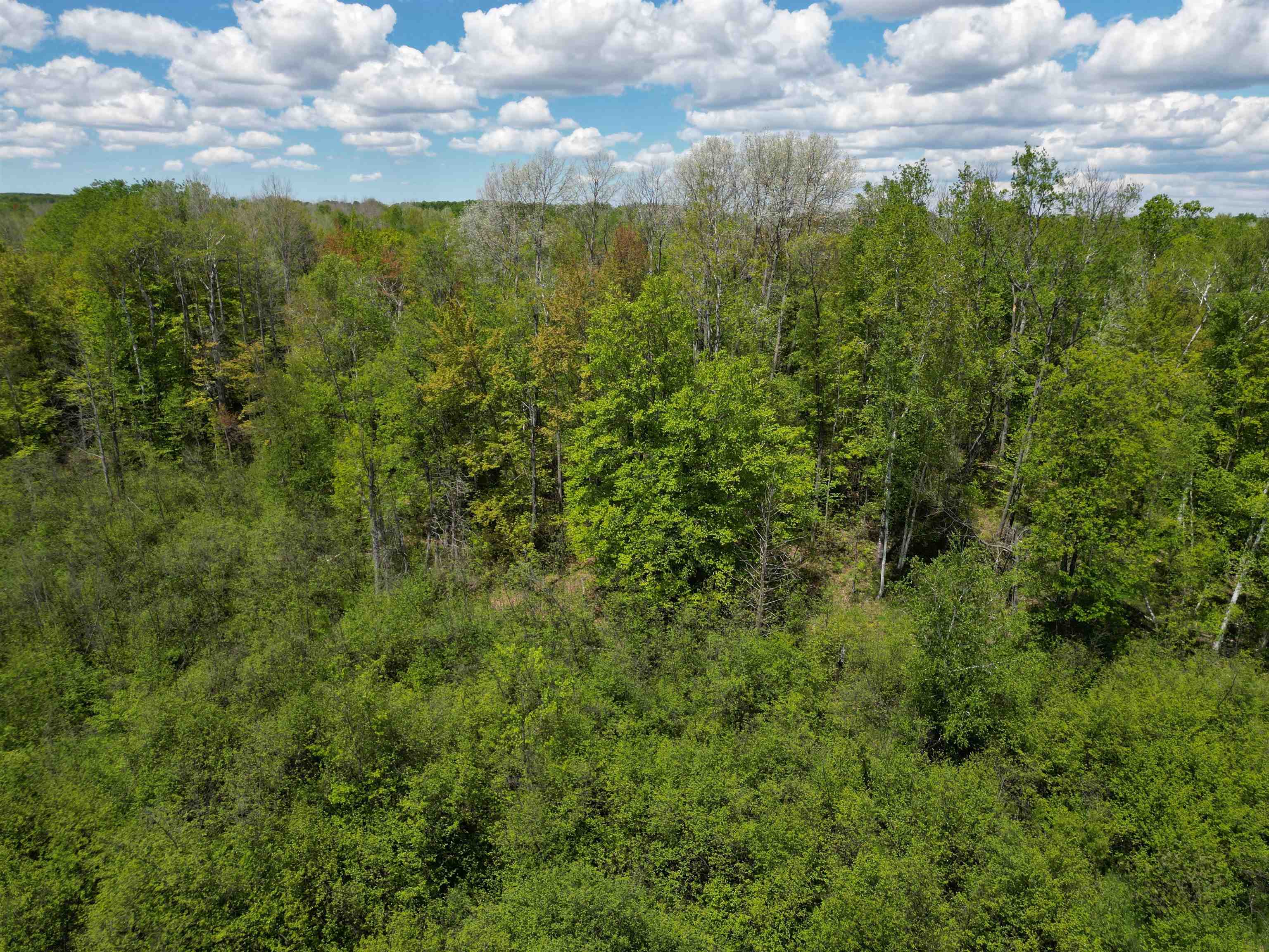 19 Mile Road Kingsley, MI 49649 - Photo 21 of 30
