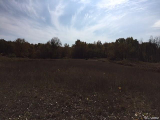Parcel B Parcel B Handy Road Howell, MI 48855 - Photo 2 of 15