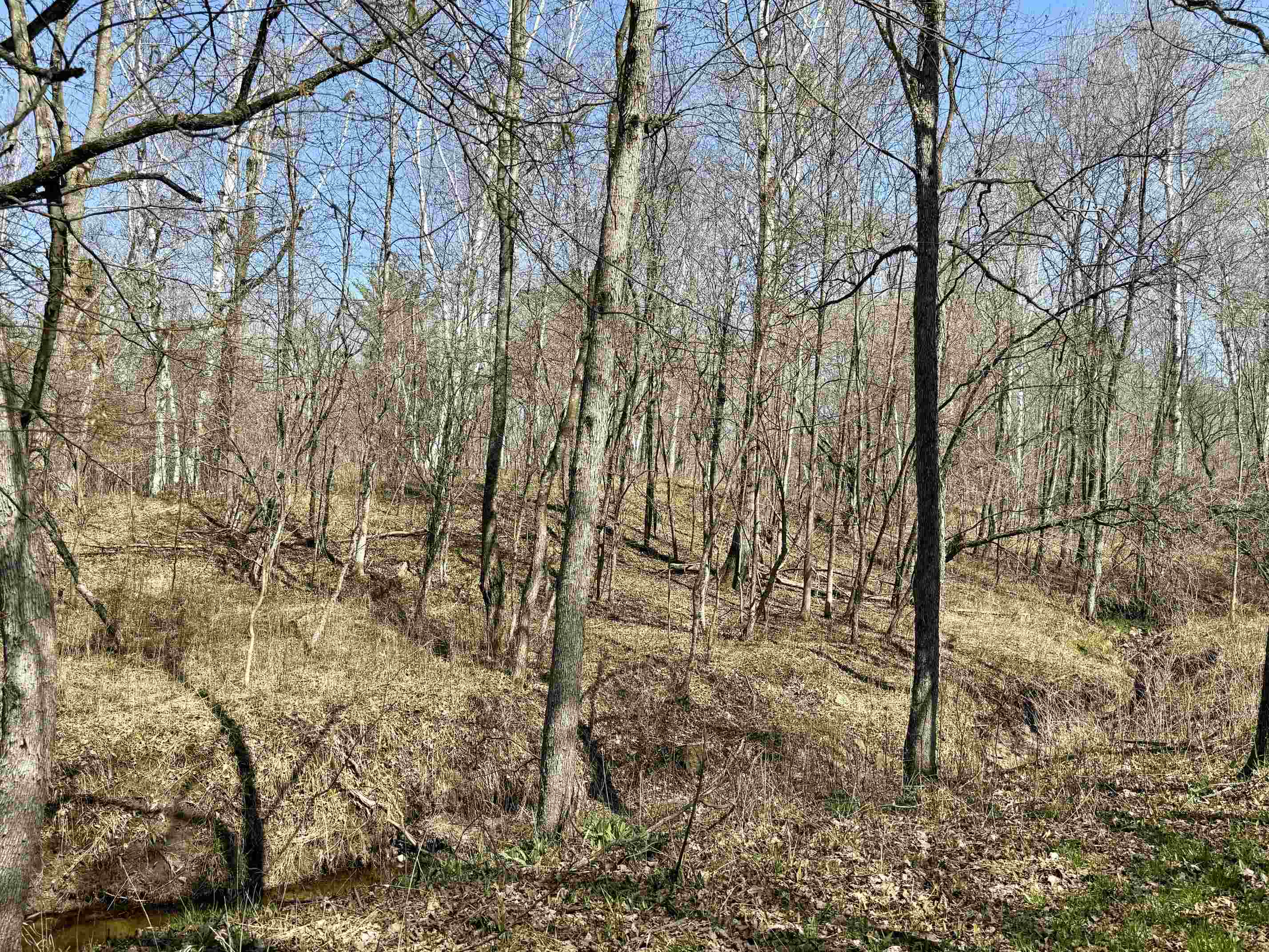 751 Hunter Ridge Marion, MI 49665 - Photo 75 of 83