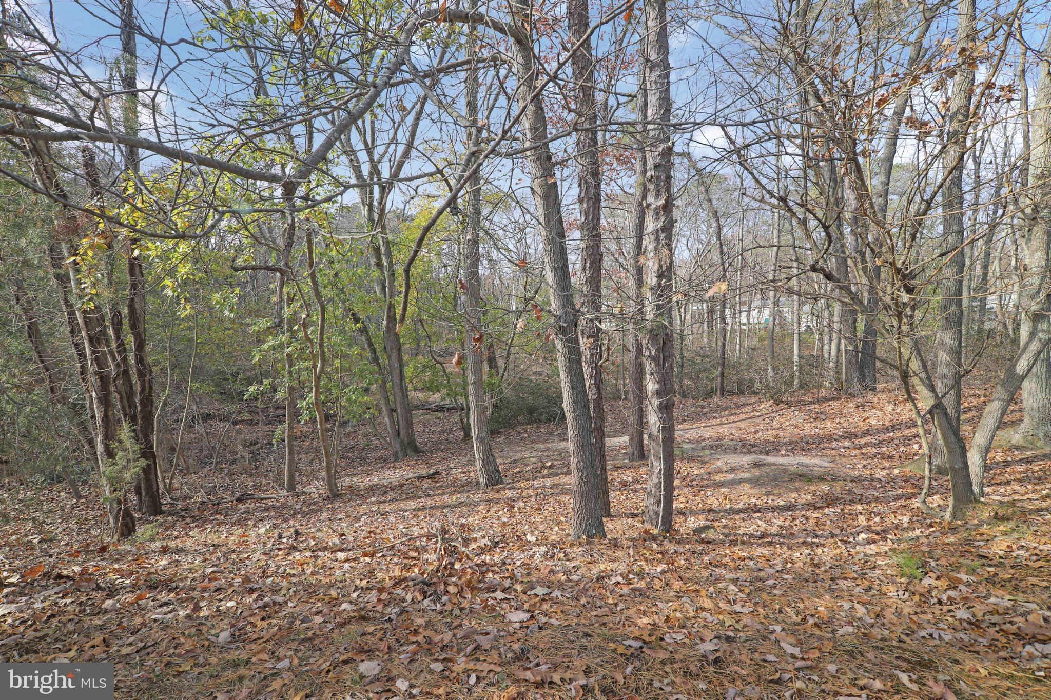 37 Penn Road Voorhees, NJ 08043 - Photo 35 of 45 Gallery Image 35