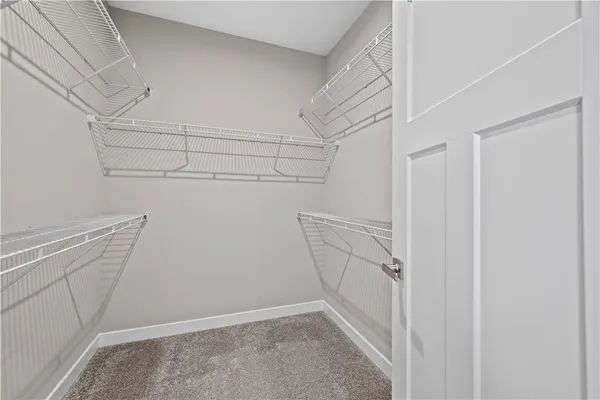 a view of storage and utility room with racks on the wall
