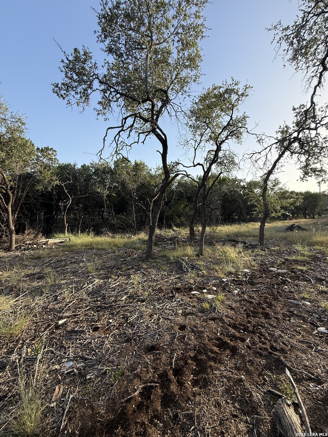247 Restless Wind Spring Branch, TX 78070 - Photo 8 of 17 Gallery Image 8
