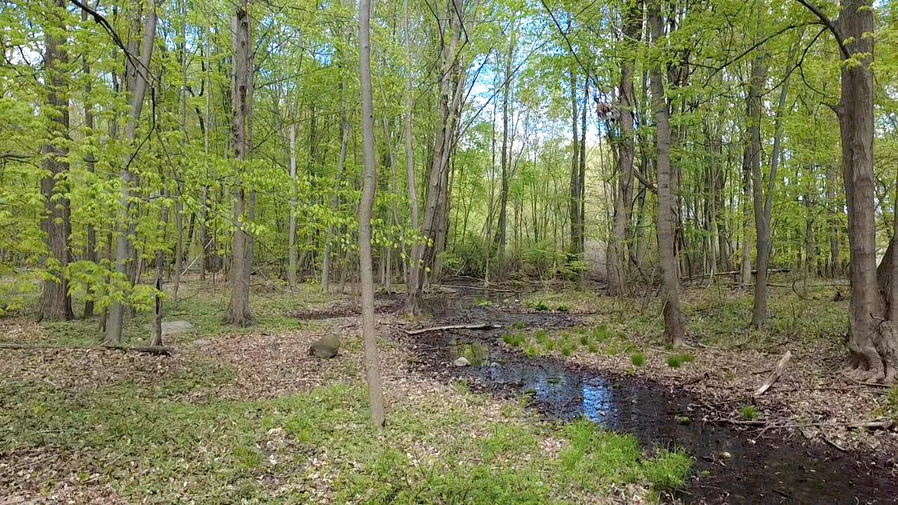66847 Tharp Lake Road Cassopolis, MI 49031 - Photo 13 of 15 2025-05-03-14-22-02-425