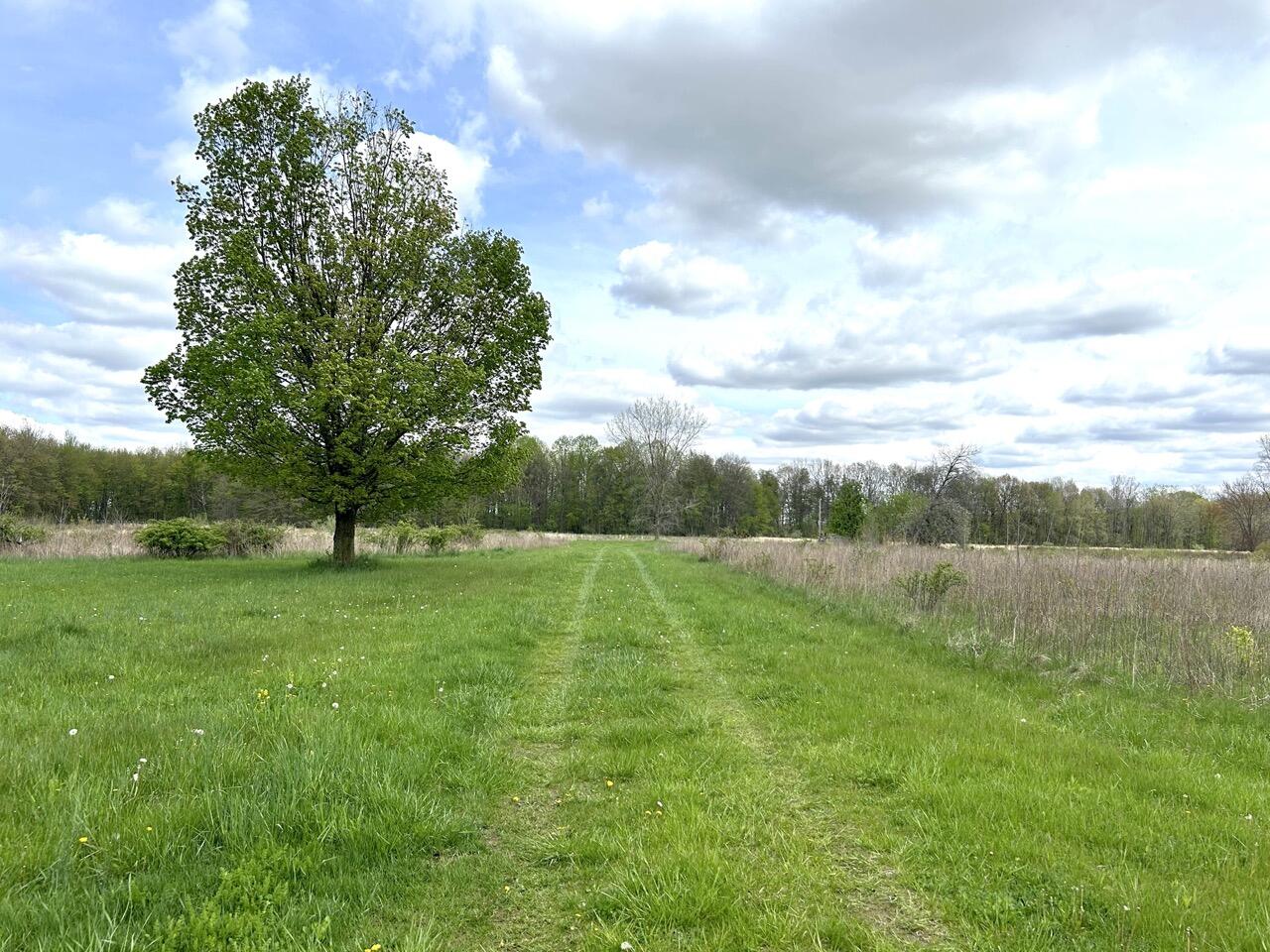 66847 Tharp Lake Road Cassopolis, MI 49031 - Photo 2 of 15 IMG_6838 Large