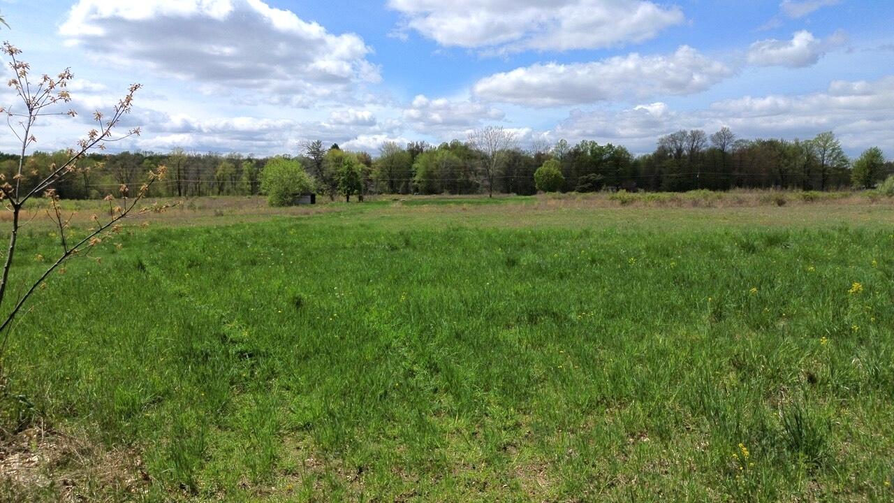 66847 Tharp Lake Road Cassopolis, MI 49031 - Photo 9 of 15 DJI_0553 Large