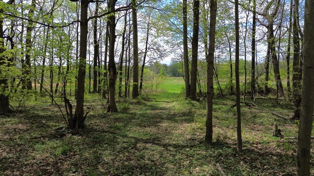 66847 Tharp Lake Road Cassopolis, MI 49031 - Photo 10 of 15 DJI_0552 Large