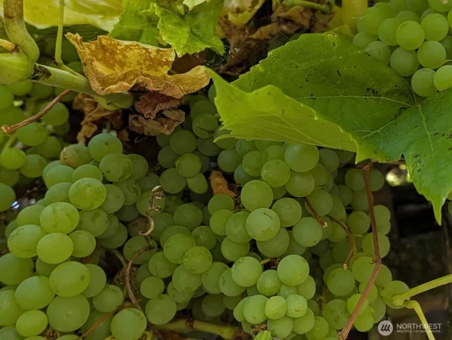 $800,000 | 24 199th Place Southeast, Bothell, WA 98012