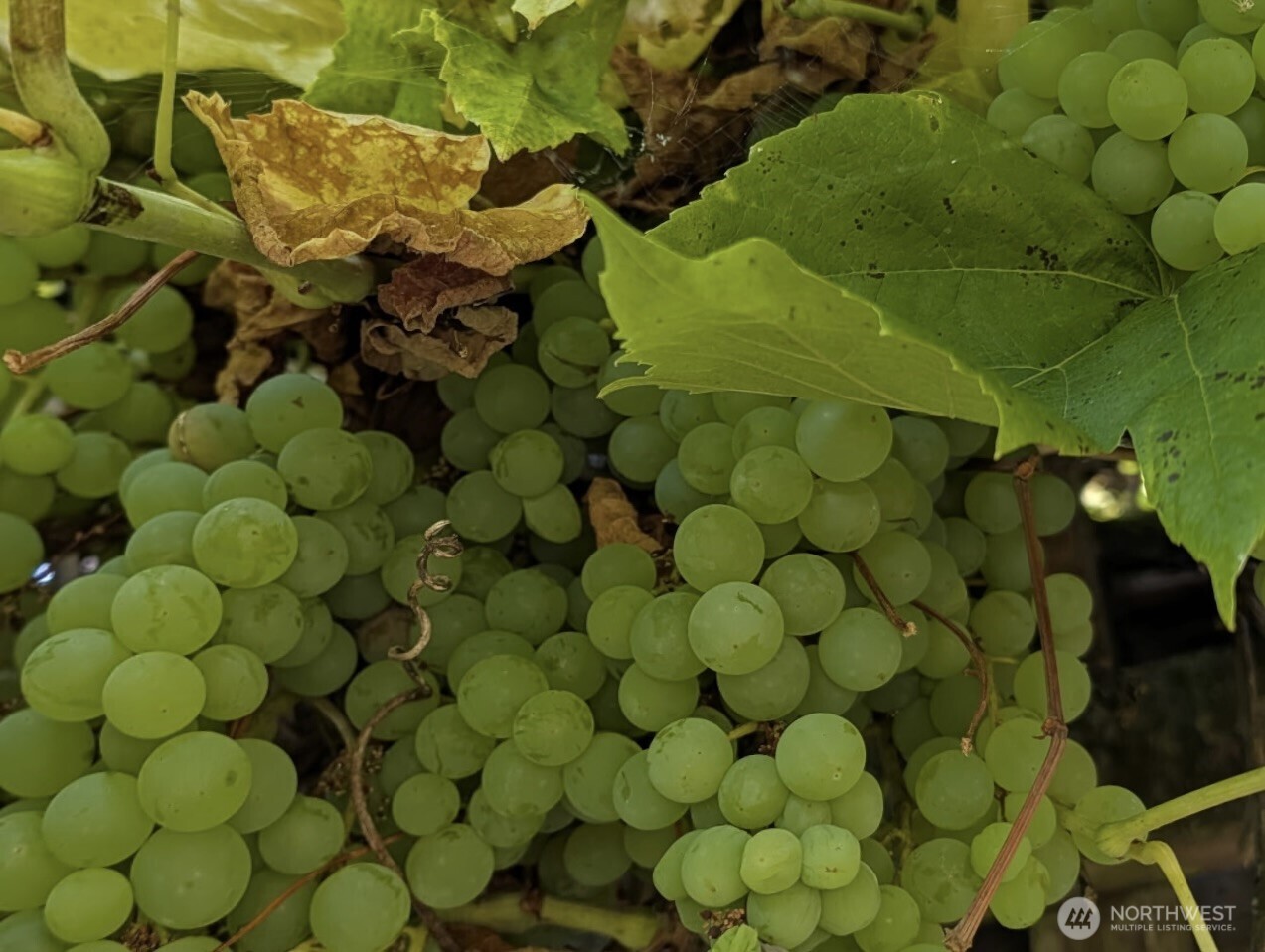 24 199th Place Southeast Bothell, WA 98012 - Photo 30 of 31