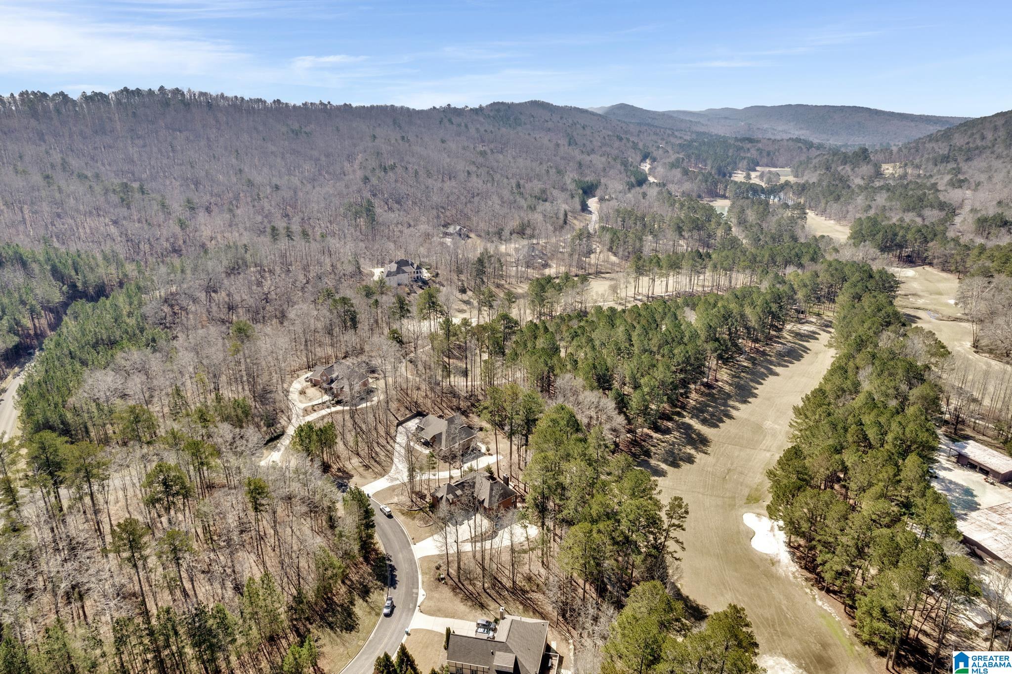 77 Broadmoor Loop Oneonta, AL 35121 - Photo 50 of 50