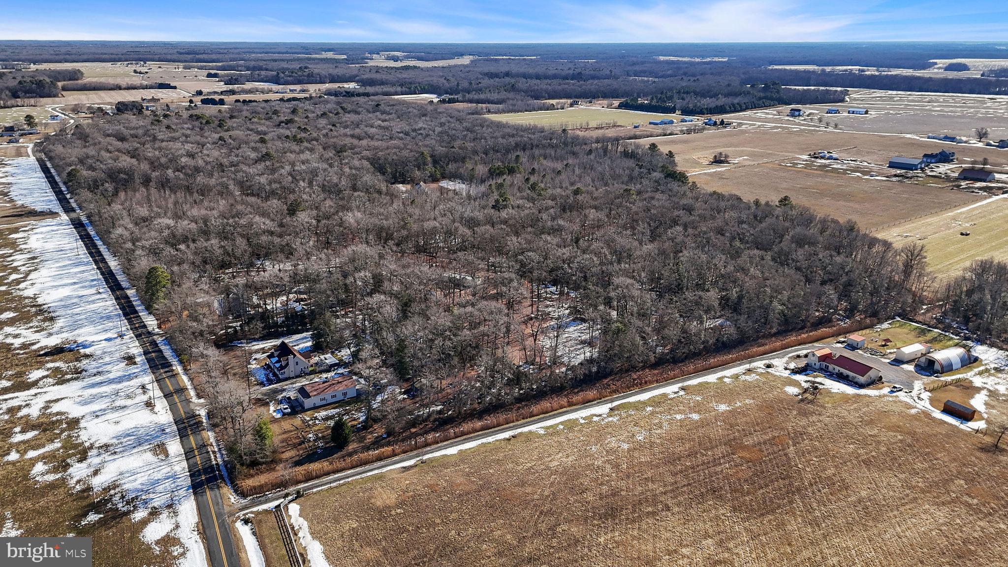 696 Spectrum Farms Road Felton, DE 19943 - Photo 7 of 10 Gallery Image 7