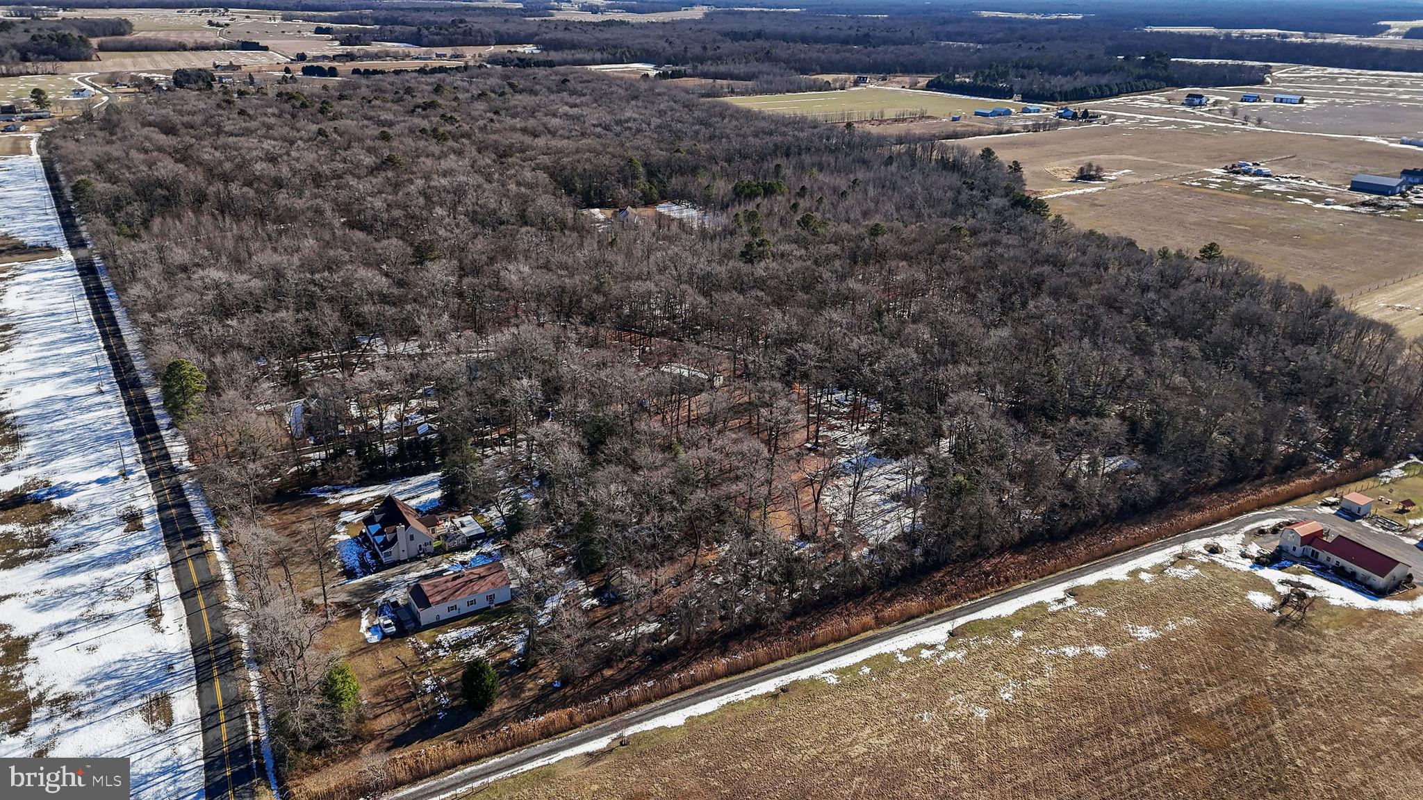 696 Spectrum Farms Road Felton, DE 19943 - Photo 8 of 10 Gallery Image 8