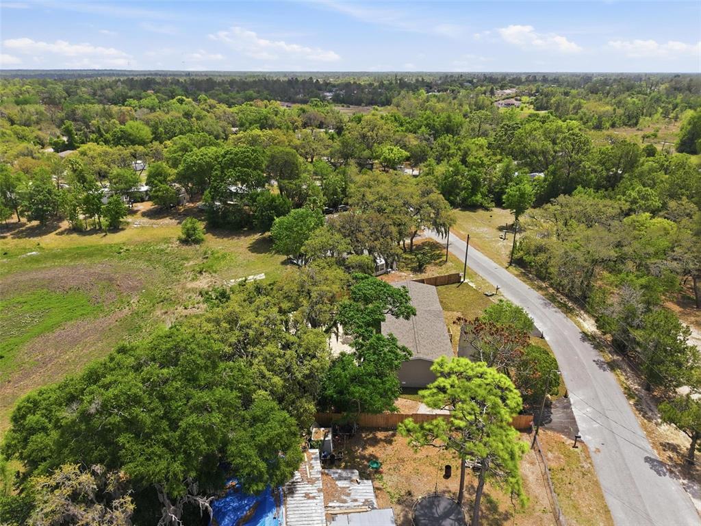 9533 Round Lk Drive Weeki Wachee, FL 34613 - Photo 58 of 68