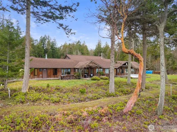 a backyard of a house with plants and large tree