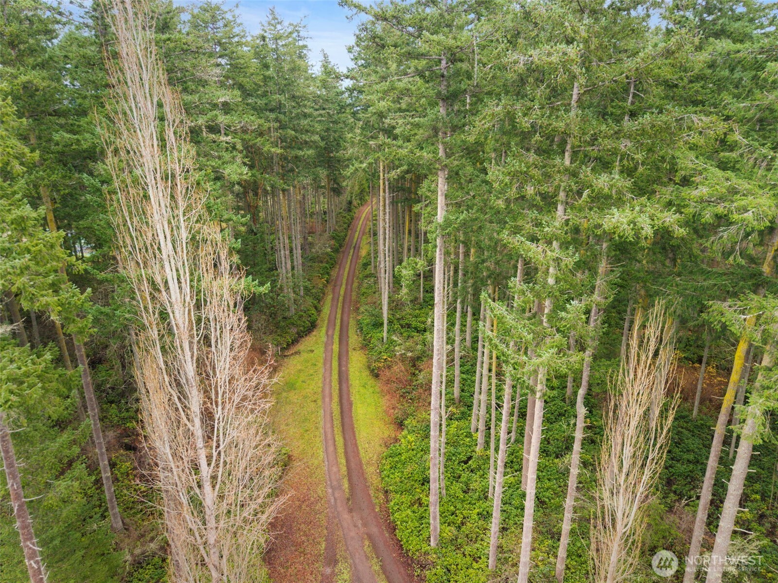 824 Schwartz Road Nordland, WA 98358 - Photo 6 of 40 a view of a garden