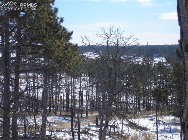 12975 Holmes Road Colorado Springs, CO 80908 - Photo 6 of 10