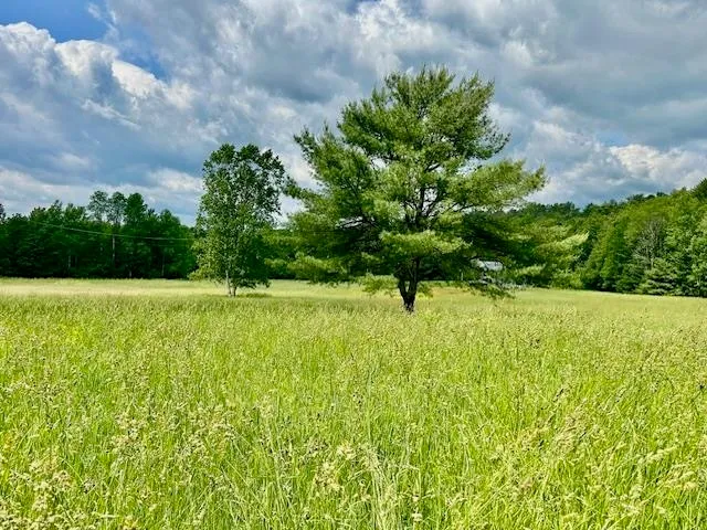 $99,500 | 260 River Road, Unit 1 THE BARN LOT, Bath, NH 03740