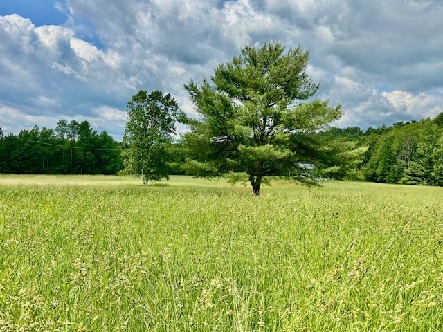 260 River Road, Unit 1 THE BARN LOT Bath, NH 03740 - Photo 3 of 15