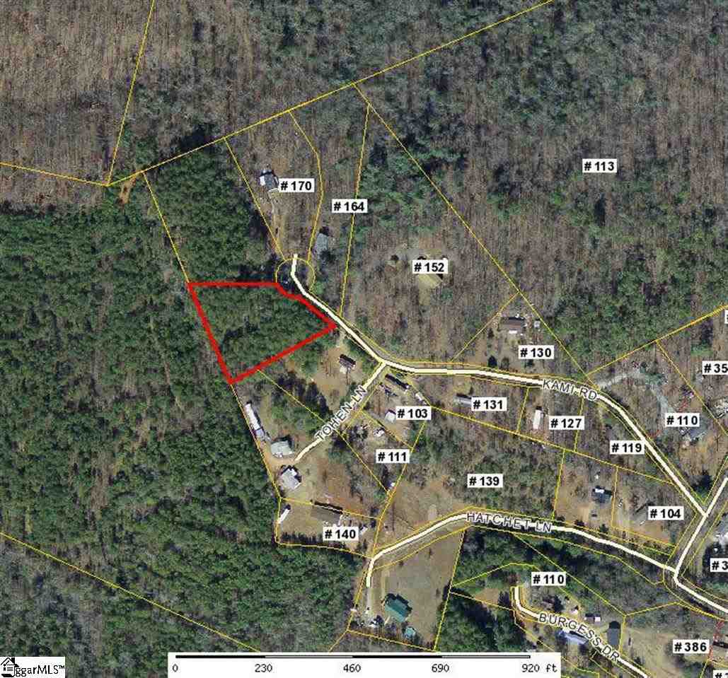 0 Kami Road, Unit LOT B SW SIDE LOST VALLEY ROAD Pickens, SC 29671 - Photo 4 of 4