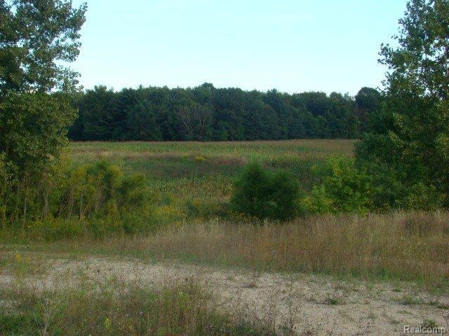 2105 West Barnes Road Fostoria, MI 48435 - Photo 6 of 9 75 acres Barnes Rd. 022