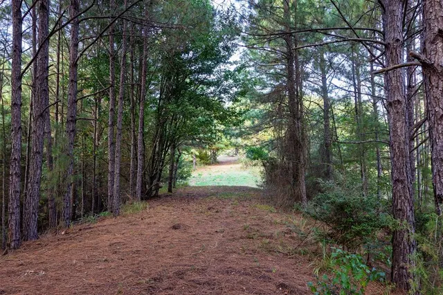 $1,560,000 | 0 County Road 4221, Laneville, TX 75667