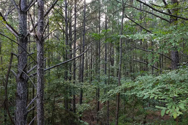 $1,560,000 | 0 County Road 4221, Laneville, TX 75667