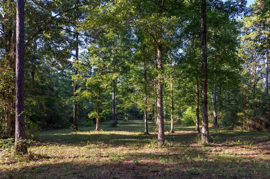 0 County Road 4221 Laneville, TX 75667 - Photo 14 of 39