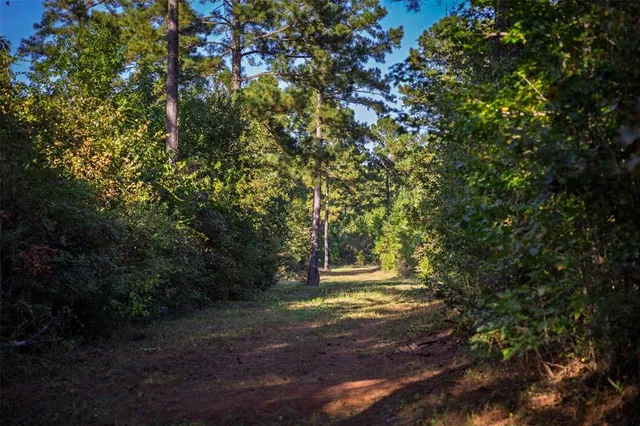 $1,560,000 | 0 County Road 4221, Laneville, TX 75667