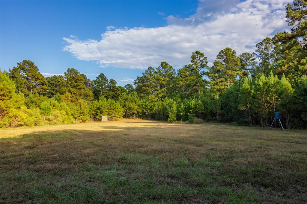 0 County Road 4221 Laneville, TX 75667 - Photo 16 of 39