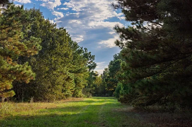 $1,560,000 | 0 County Road 4221, Laneville, TX 75667