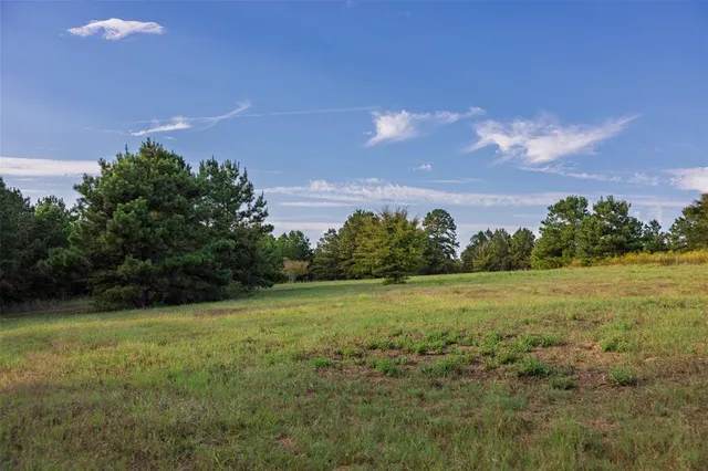 $1,560,000 | 0 County Road 4221, Laneville, TX 75667