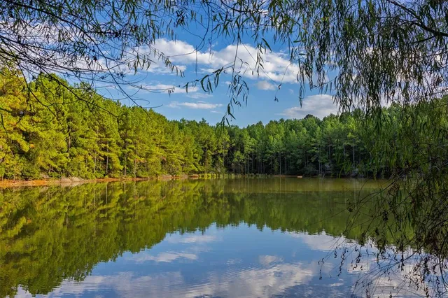 $1,560,000 | 0 County Road 4221, Laneville, TX 75667