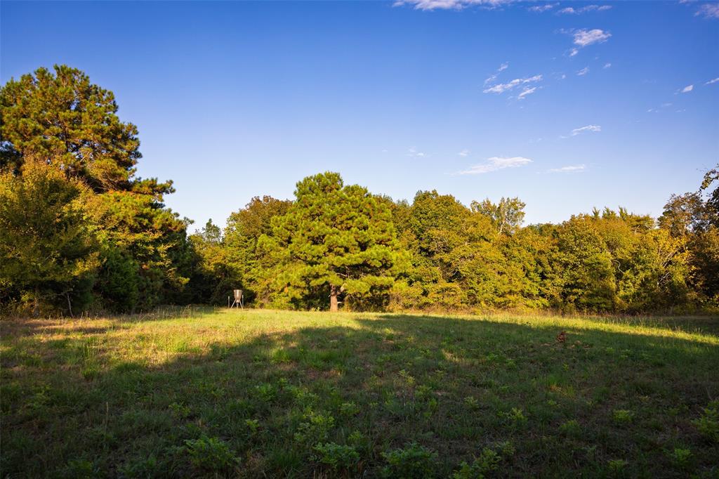 0 County Road 4221 Laneville, TX 75667 - Photo 21 of 39
