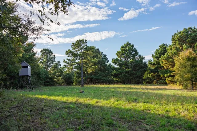 $1,560,000 | 0 County Road 4221, Laneville, TX 75667