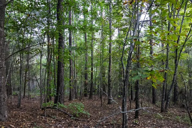 $1,560,000 | 0 County Road 4221, Laneville, TX 75667