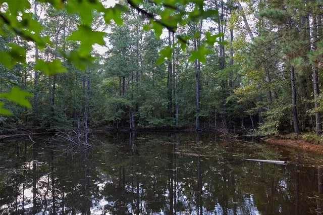 $1,560,000 | 0 County Road 4221, Laneville, TX 75667